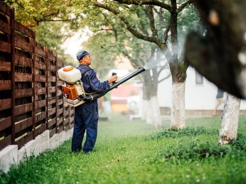 GreenPro Outdoor Pest Control - Spraying Lawn and Trees