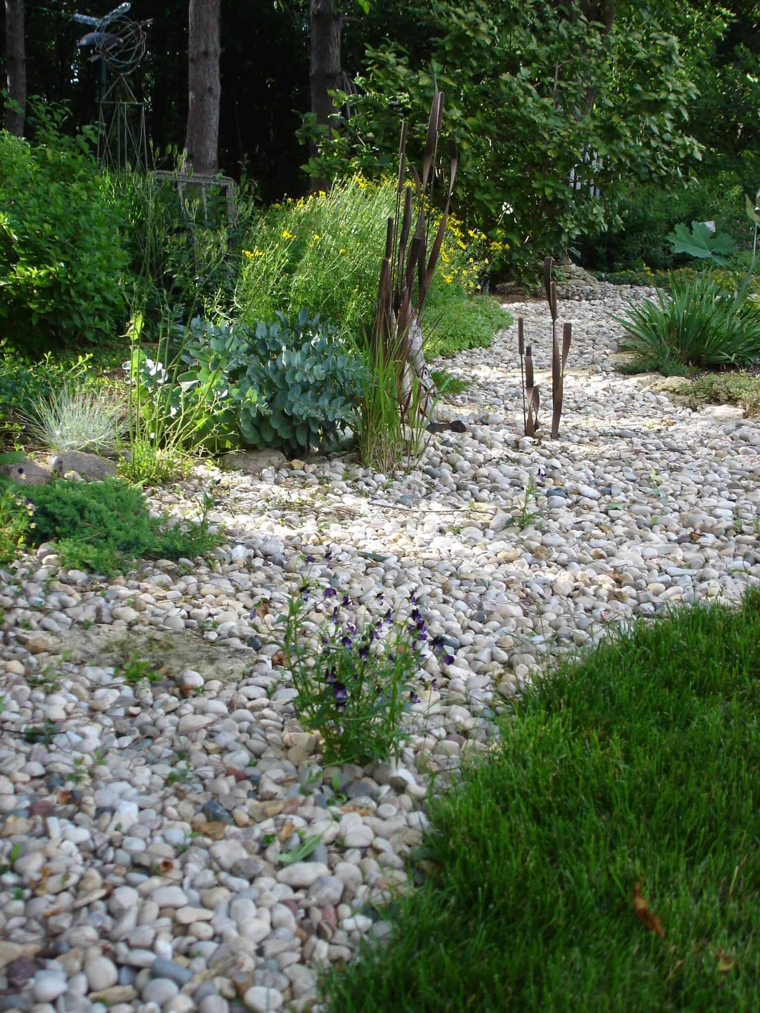 dry creek bed, garden, rocks