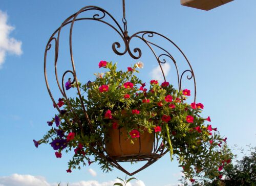 exterior decoration, decoration, hanging basket