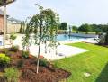 Jenks Pool Landscaping with Evergreens and Giant Pink Hibiscus Flowers